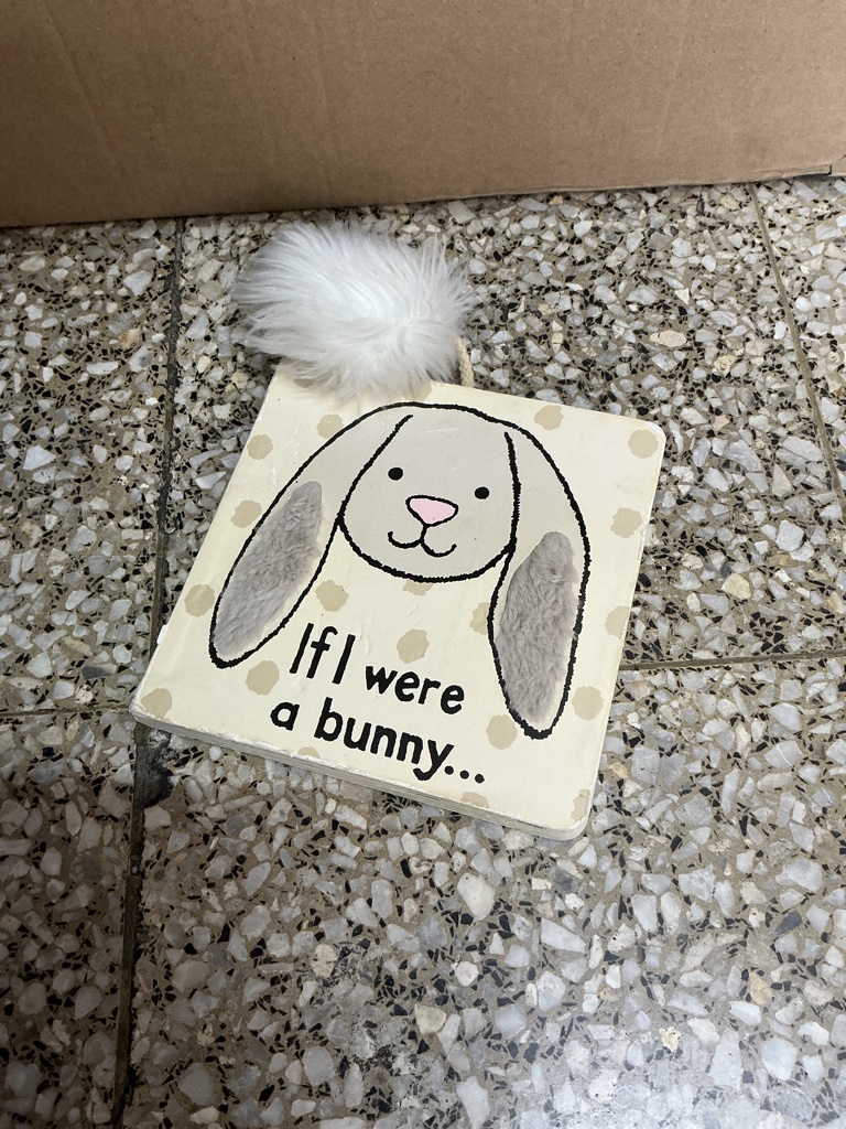 Libro suave conejo