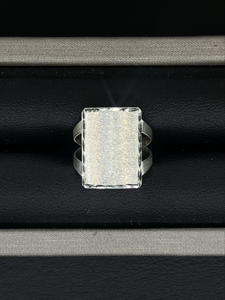 Anillo de placa