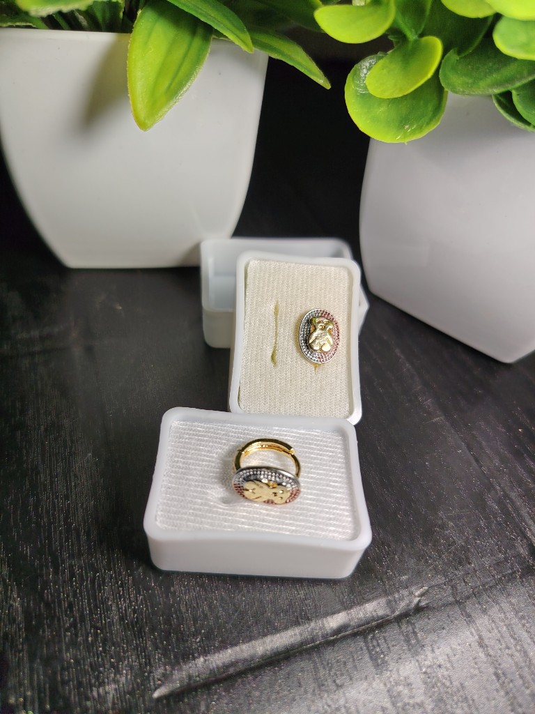 Aretes oso