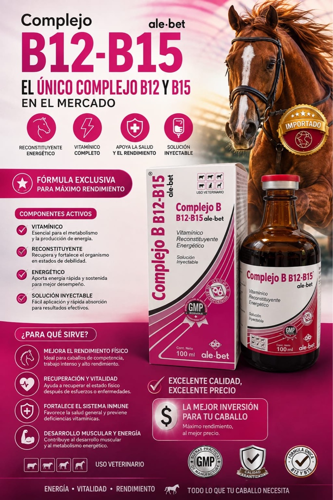 Complejo B12 - B15