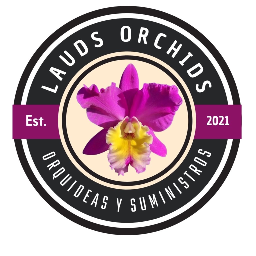 Lauds Orchids
