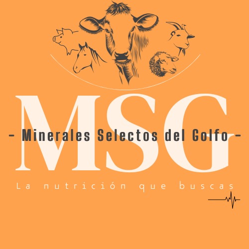 Minerales Selectos del Golfo