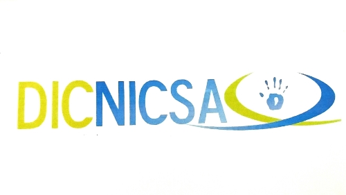 DICNICSA CONSUMO