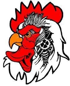 POLLOS EDMA