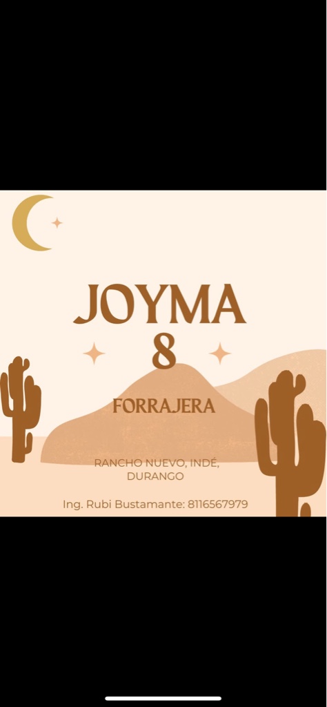JOYMA 8