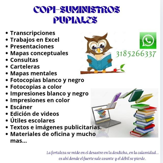 Copisuministros