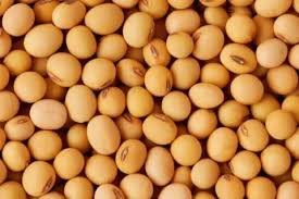 Poroto de soja x 250gr