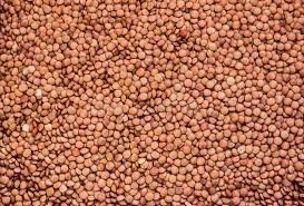 Lenteja x 250gr