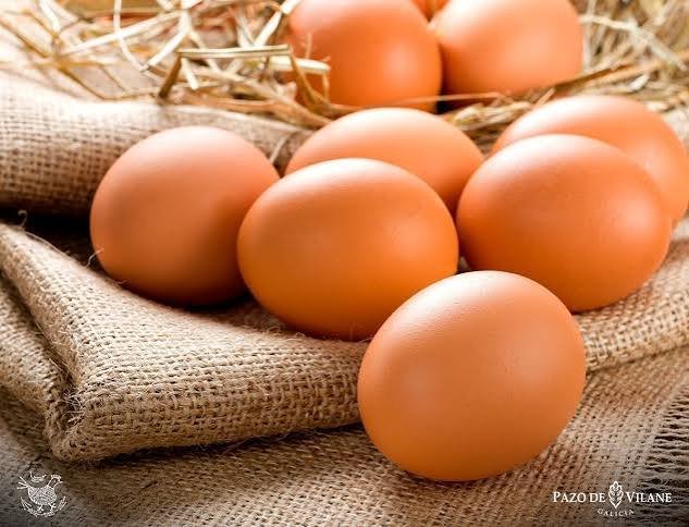 huevos