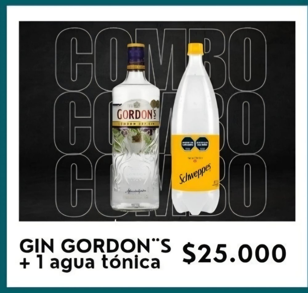 Gordon`s + 1 agua tonica