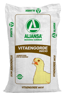 Vitaengorde Inicio