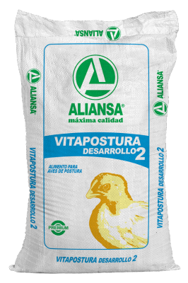 Vitapostura Desarrollo 2
