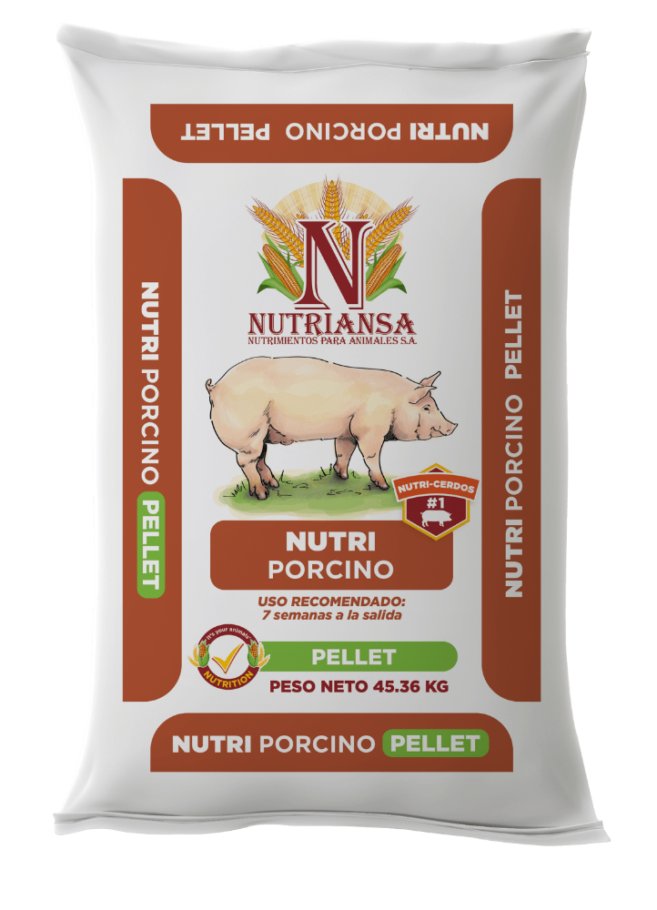Nutrí porcino