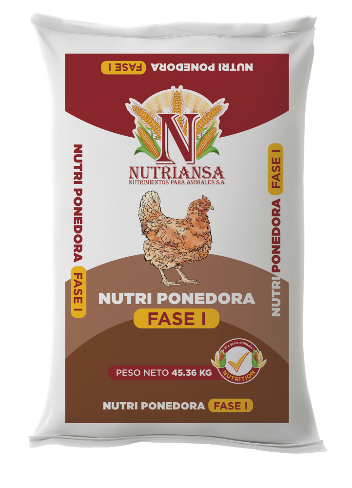 Nutriponedora fase 1