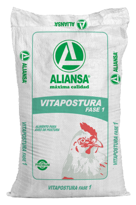 Vitapostura fase 1