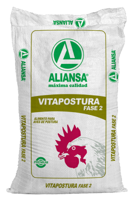 Vitapostura fase 2