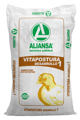 Vitapostura Desarrollo 1