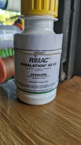 Malathion (Insecticida)