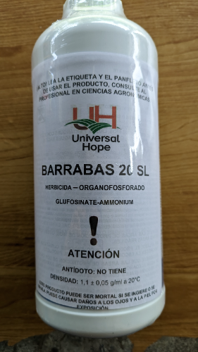 Barrabas