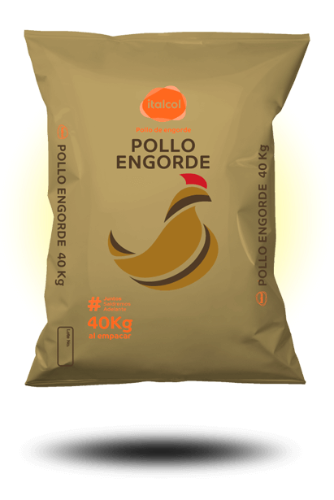 Pollo Dorado (Saco)