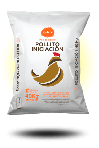 Pollo Inicio (Saco)