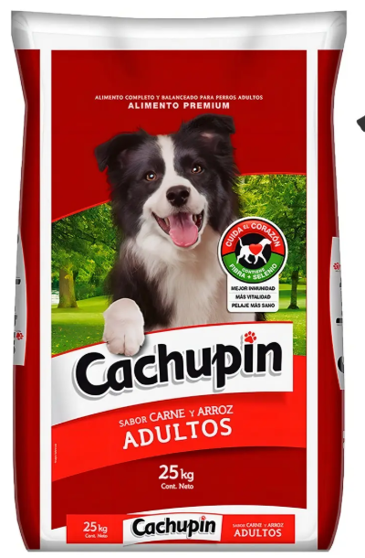 CACHUPÍN