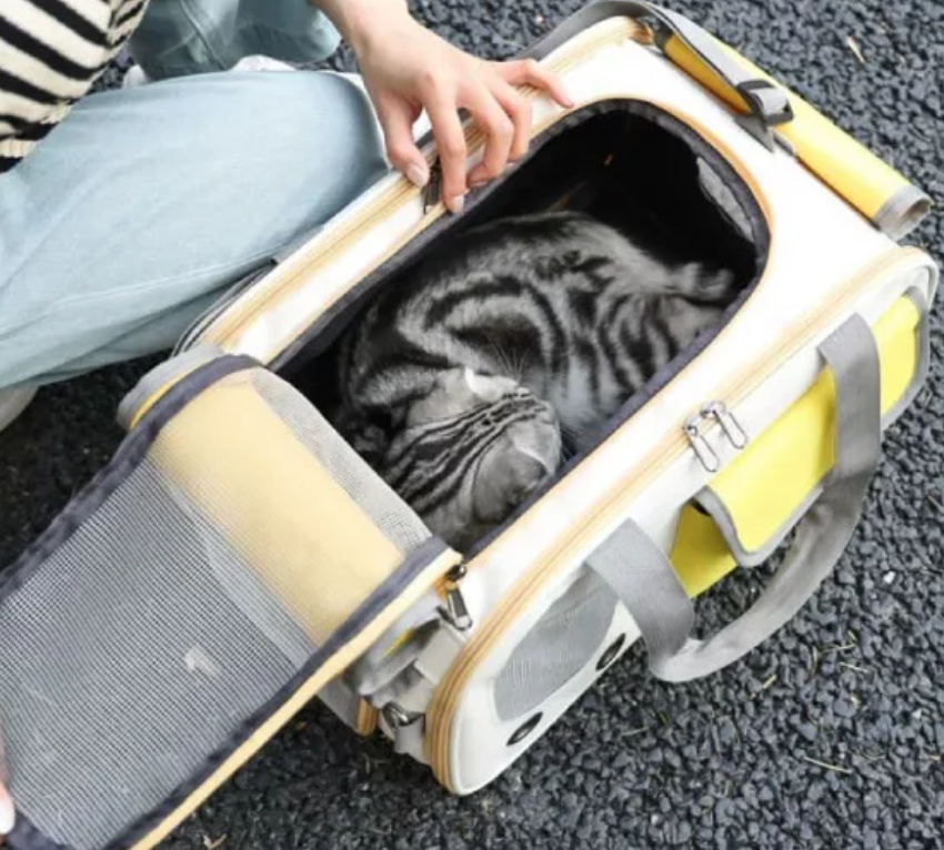 Bolso De Lujo Para Transporte de Mascotas