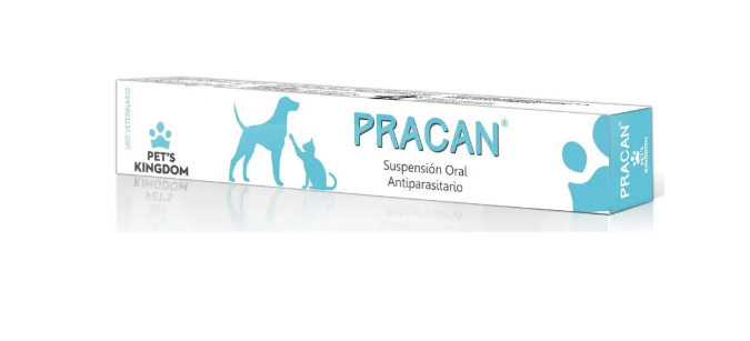 Pracan - Pets Kingdom