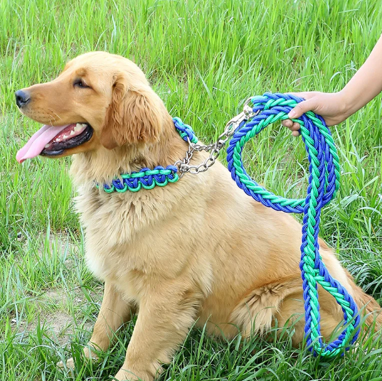 Collar tipo ahogo con traílla trenzada