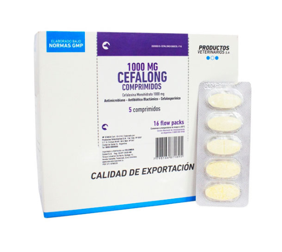 Cefalong 1000mg x und