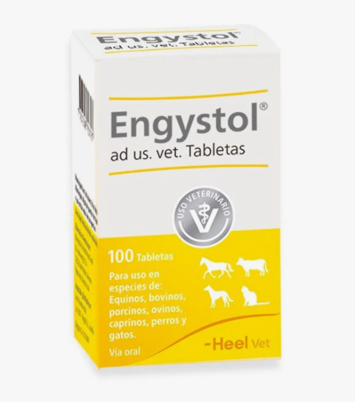 Engystol Vet x und