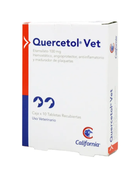 Quercetol 100 mg x und