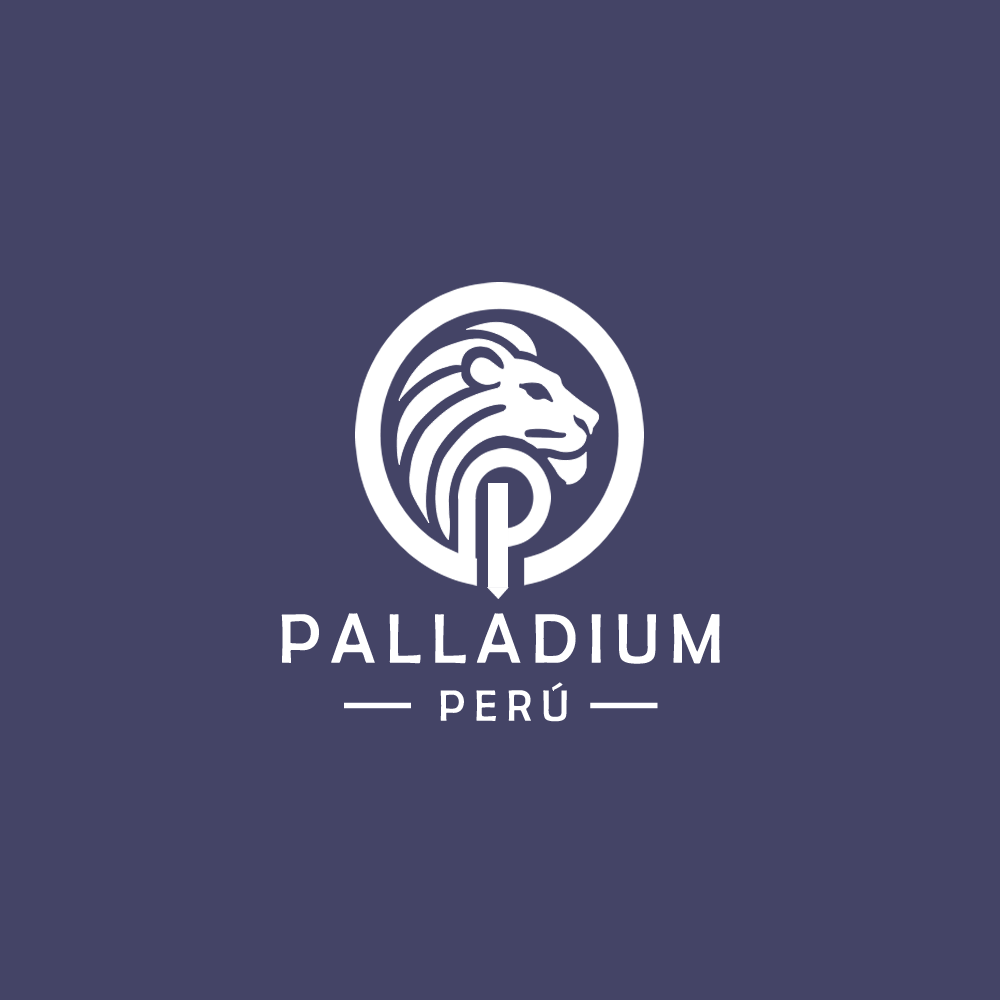 PALLADIUM CONSULTING PERU EIRL