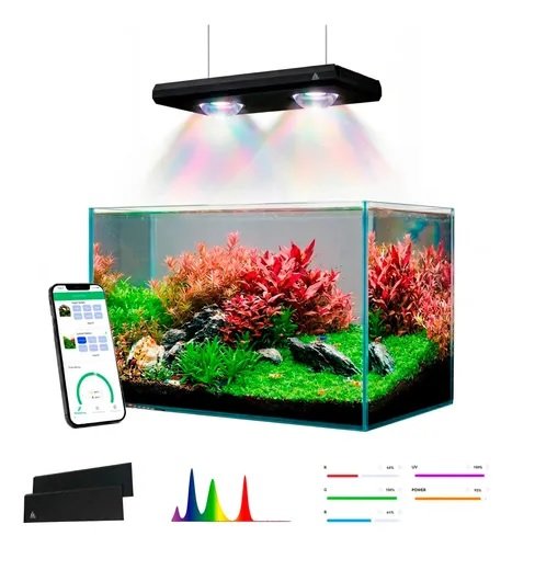 WeekAqua Z250D APP VERSION + SHADES