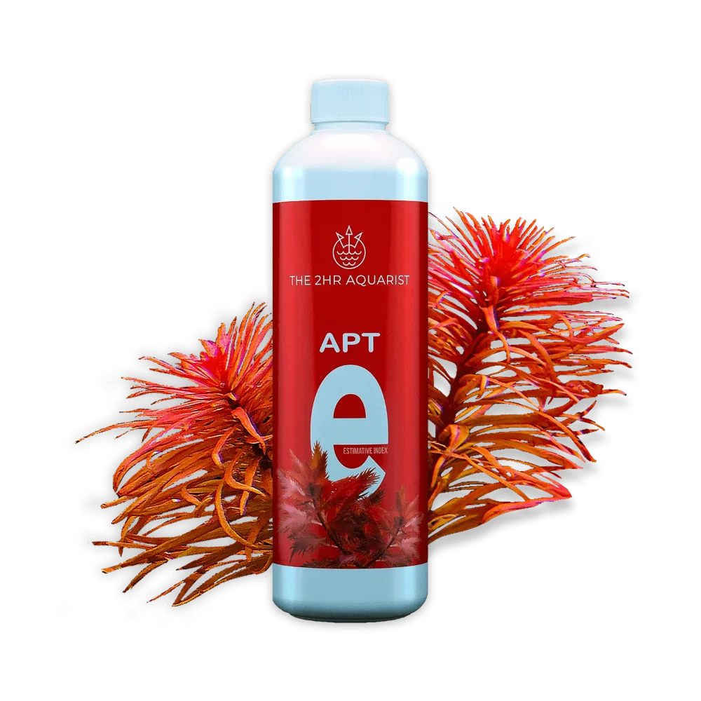 2Hr - Apt E - 500Ml