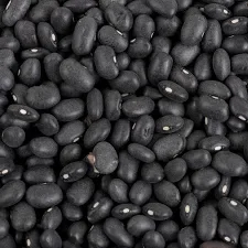 Poroto negro
