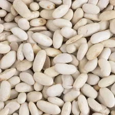 Poroto alubia