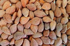 Almendra guara grande