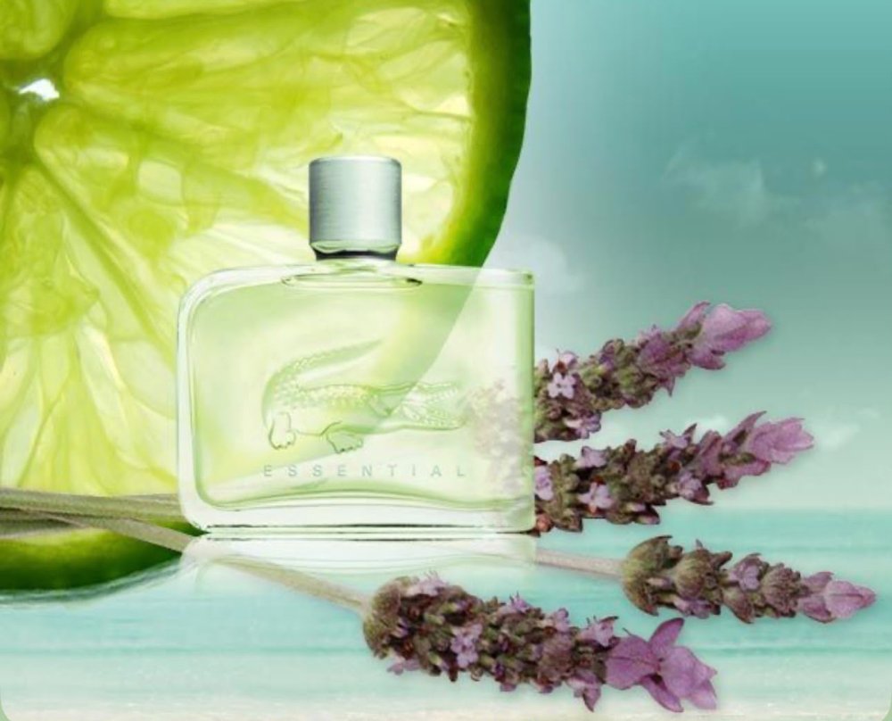 LACOSTE ESSENTIAL