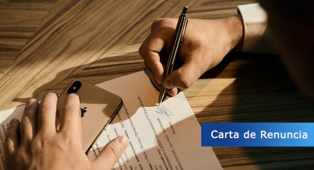 ELABORACION DE CARTA
