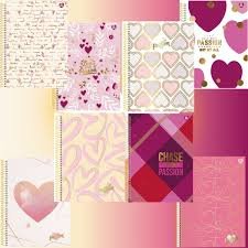 CADERNO ESPIRAL 1 MATÉRIA PASSION