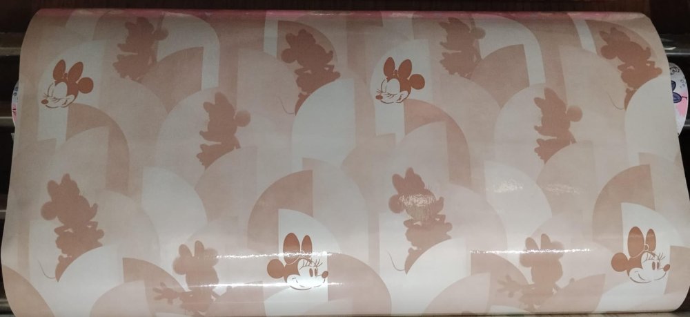 CONTACT MINNIE
