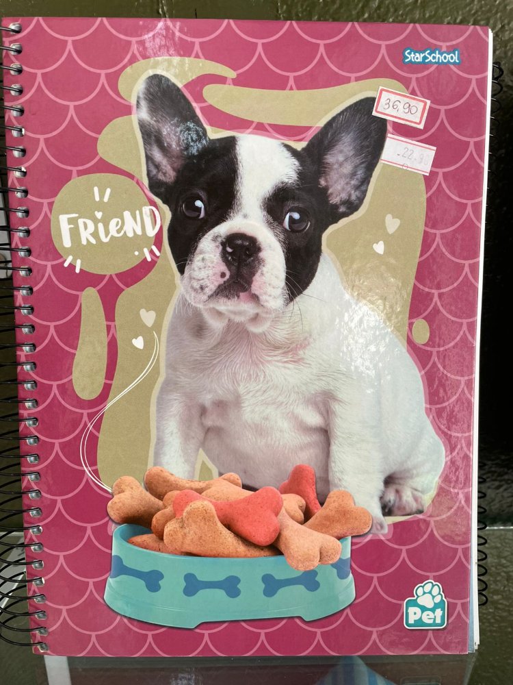 CADERNO ESPIRAL PET STAR JANDAIA