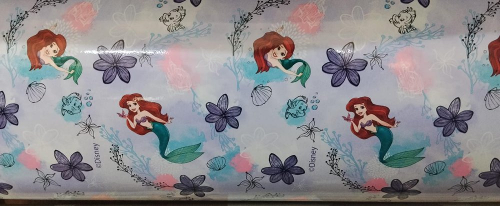 CONTACT ARIEL