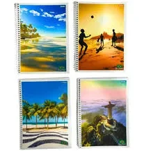 CADERNO ESPIRAL 1/4 96 FOLHAS BRASILIDADE