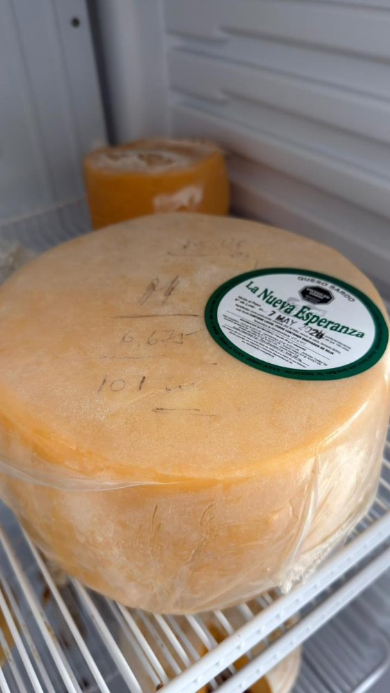 Queso Sardo Estacionado Guachatre Menonita x kg