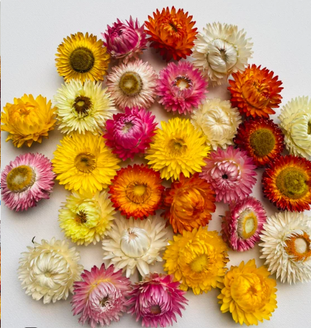 Bolsita de flores secas