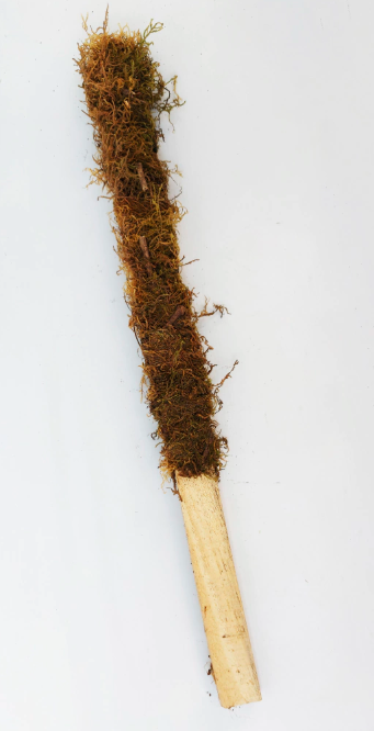 Tutor 1.20 cm