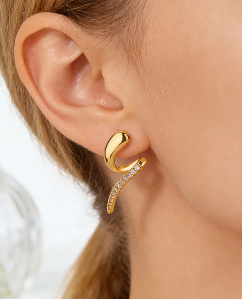 Aretes Serpiente
