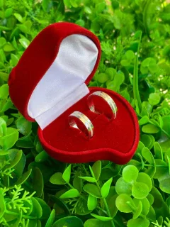 PAR DE ALIANÇA COM DETALHES EM DIAMANTADA 4,2MM